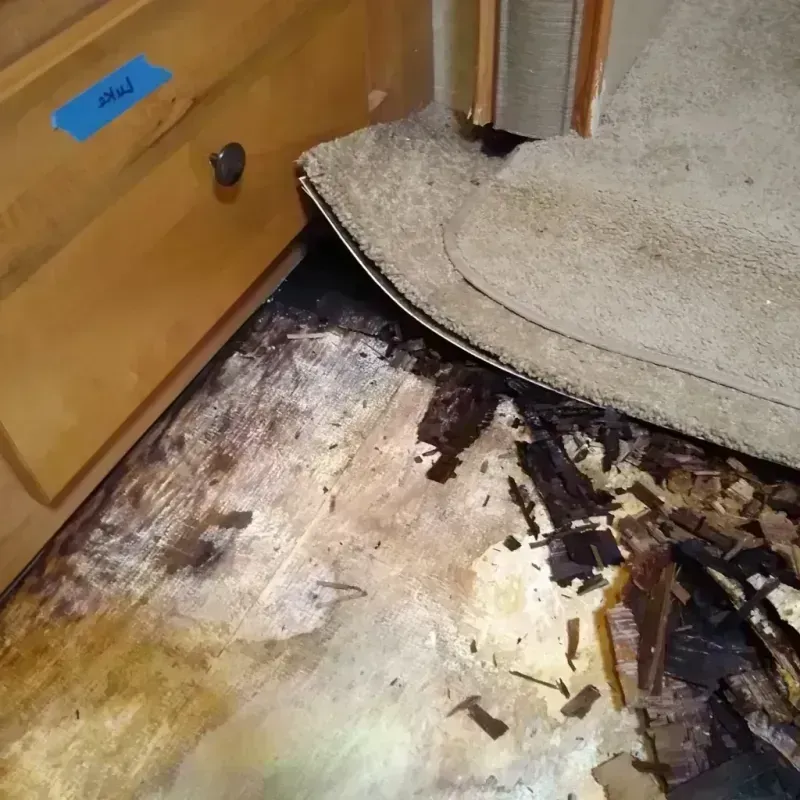 Wood Floor Water Damage in Cabin John, MD